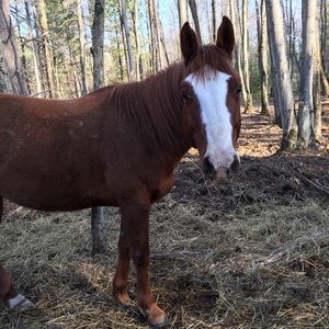 Meet your Posher, Raeghan